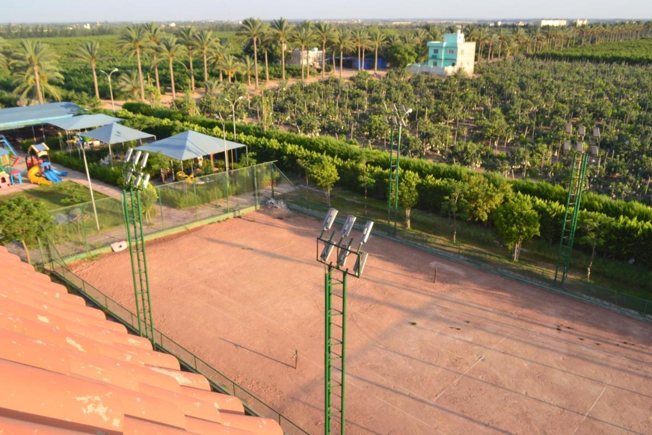 Green Desert Sadat City Exteriör bild